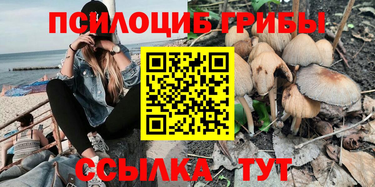 Минеральные Воды  Галлюциногенные грибы ЛСД  купить наркоту  Вход с VPN  Галлюциногенные грибы GOLDEN TEACHER 